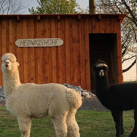 Urlaub Auf Dem Bauernhof Hedwigshoehe Hohnstein Esterno foto